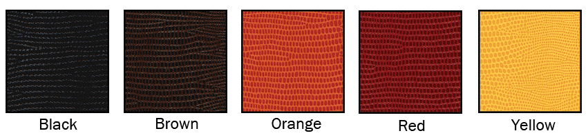 Lizard colors